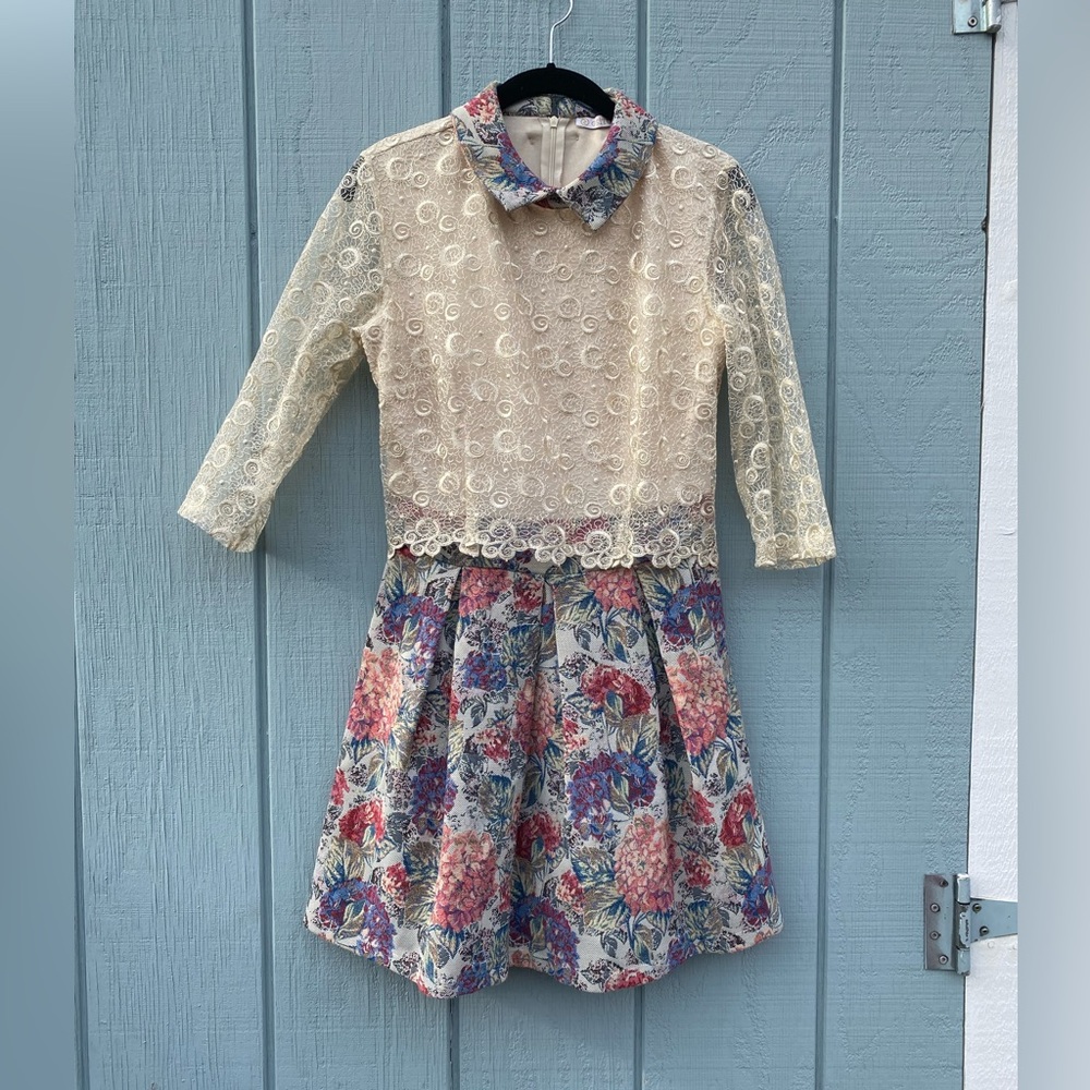 Collared dress with sheer embroidered lace sleeves and pleated skirt